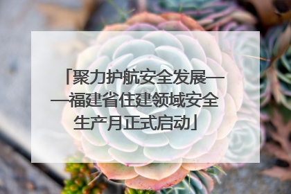 聚力护航安全发展——福建省住建领域安全生产月正式启动