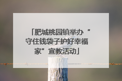 肥城桃园镇举办“守住钱袋子护好幸福家”宣教活动