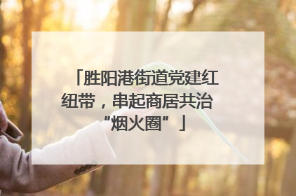 胜阳港街道党建红纽带，串起商居共治 “烟火圈”