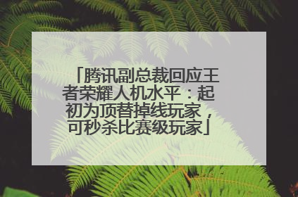 腾讯副总裁回应王者荣耀人机水平：起初为顶替掉线玩家，可秒杀比赛级玩家