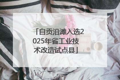 自贡沿滩入选2025年省工业技术改造试点县