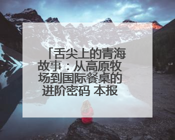 舌尖上的青海故事：从高原牧场到国际餐桌的进阶密码 本报记者 罗 珺