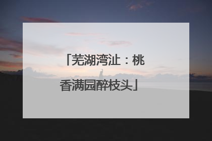 芜湖湾沚：桃香满园醉枝头