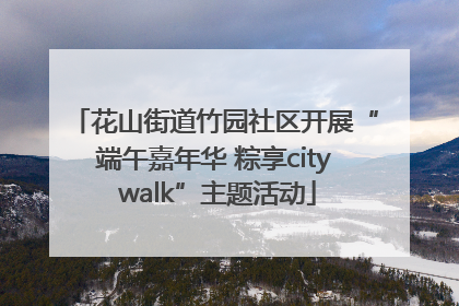 花山街道竹园社区开展“端午嘉年华 粽享city walk”主题活动