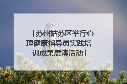 苏州姑苏区举行心理健康指导员实践培训成果展演活动