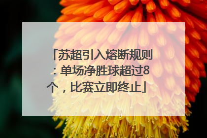 苏超引入熔断规则：单场净胜球超过8个，比赛立即终止