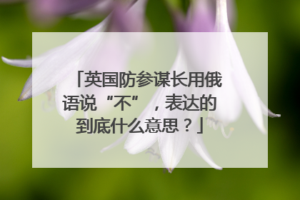 英国防参谋长用俄语说“不”，表达的到底什么意思？