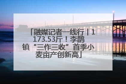 融媒记者一线行丨1173.53斤！李鹊镇“三作三收”首季小麦亩产创新高