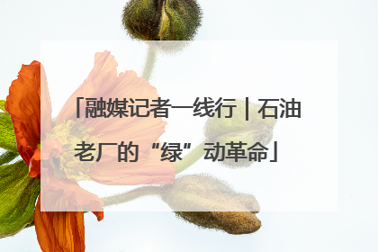 融媒记者一线行｜石油老厂的“绿”动革命