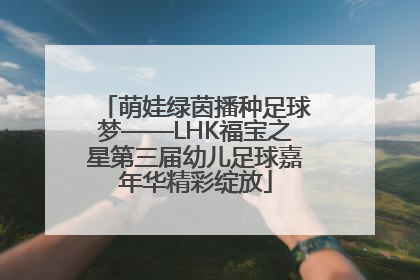 萌娃绿茵播种足球梦——LHK福宝之星第三届幼儿足球嘉年华精彩绽放