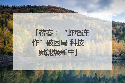 蕲春：“虾稻连作”破困局 科技赋能焕新生