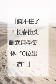 藏不住了！长春街头耐寒月季集体“C位出道”
