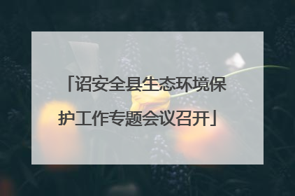 诏安全县生态环境保护工作专题会议召开