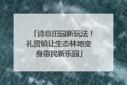 诗意田园新玩法！礼贤镇让生态林地变身惠民新乐园