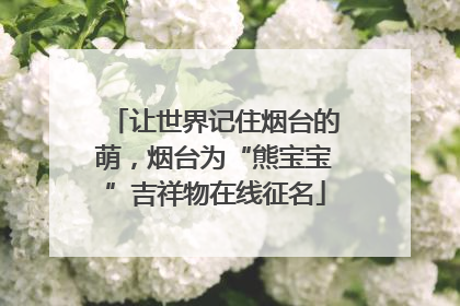 让世界记住烟台的萌，烟台为“熊宝宝”吉祥物在线征名