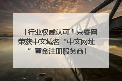 行业权威认可！京客网荣获中文域名“中文网址”黄金注册服务商