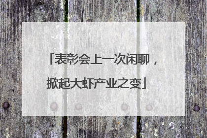表彰会上一次闲聊，掀起大虾产业之变