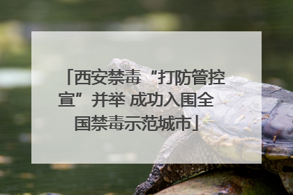 西安禁毒“打防管控宣”并举 成功入围全国禁毒示范城市
