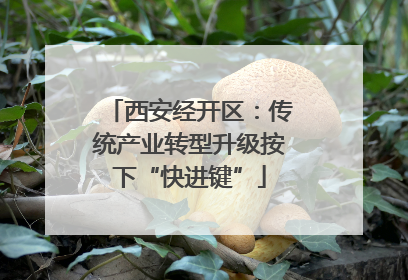 西安经开区：传统产业转型升级按下“快进键”