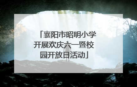 襄阳市昭明小学开展欢庆六一暨校园开放日活动