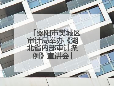 襄阳市樊城区审计局举办《湖北省内部审计条例》宣讲会