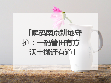 解码南京耕地守护：一码管田有方 沃土搬迁有道