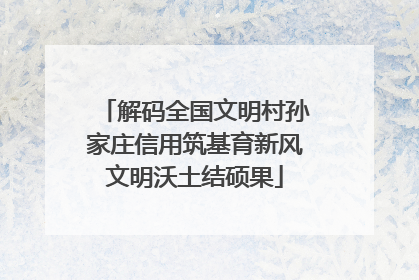 解码全国文明村孙家庄信用筑基育新风文明沃土结硕果