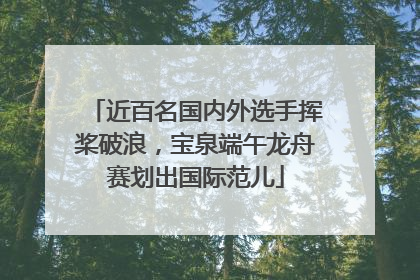 近百名国内外选手挥桨破浪，宝泉端午龙舟赛划出国际范儿