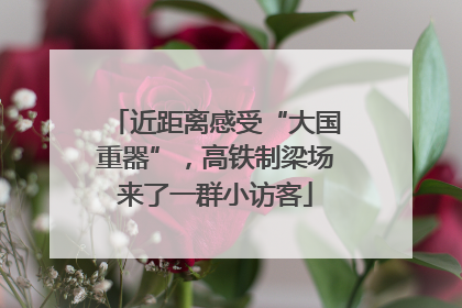 近距离感受“大国重器”，高铁制梁场来了一群小访客