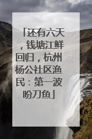 还有六天，钱塘江鲜回归，杭州杨公社区渔民：第一波盼刀鱼