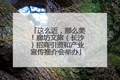 这么近，那么美！廊坊文旅（长沙）招商引资和产业宣传推介会举办