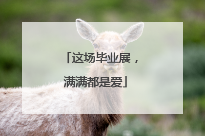 这场毕业展，满满都是爱