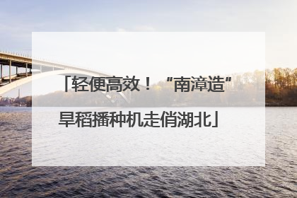轻便高效！“南漳造”旱稻播种机走俏湖北