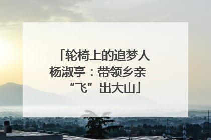轮椅上的追梦人杨淑亭：带领乡亲“飞”出大山