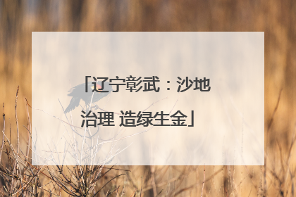 辽宁彰武：沙地治理 造绿生金