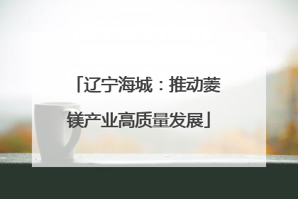 辽宁海城：推动菱镁产业高质量发展