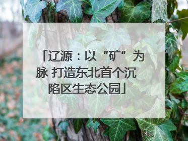 辽源：以“矿”为脉 打造东北首个沉陷区生态公园