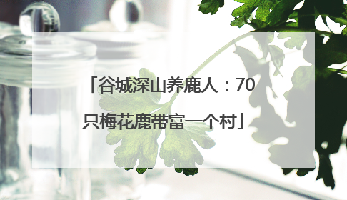 谷城深山养鹿人：70只梅花鹿带富一个村