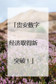 贵安数字经济取得新突破！