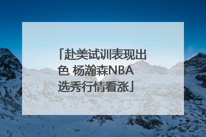 赴美试训表现出色 杨瀚森NBA选秀行情看涨