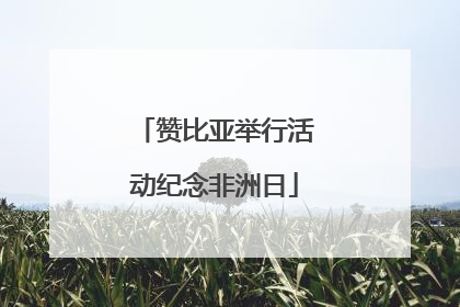 赞比亚举行活动纪念非洲日
