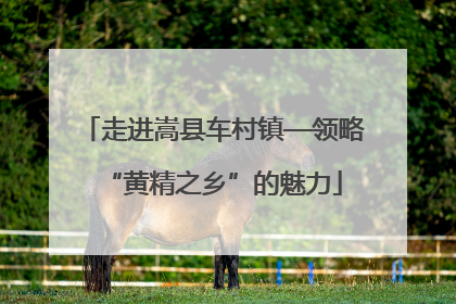 走进嵩县车村镇—领略“黄精之乡”的魅力