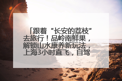 跟着“长安的荔枝”去旅行！品岭南鲜果，解锁山水康养新玩法，上海3小时直飞，自驾高速费优惠