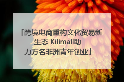 跨境电商重构文化贸易新生态 Kilimall助力万名非洲青年创业