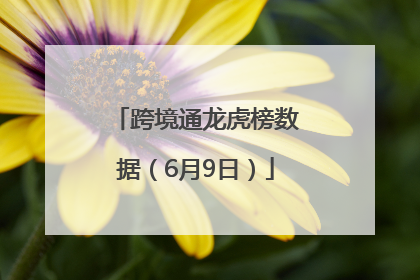 跨境通龙虎榜数据（6月9日）