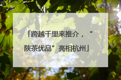 跨越千里来推介，“陕茶优品”亮相杭州