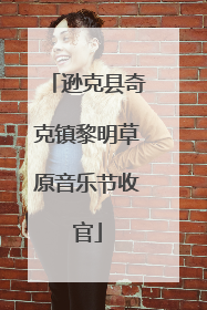逊克县奇克镇黎明草原音乐节收官