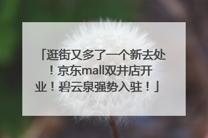 逛街又多了一个新去处！京东mall双井店开业！碧云泉强势入驻！