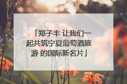 郑子丰 让我们一起共筑宁夏葡萄酒旅游 的国际新名片