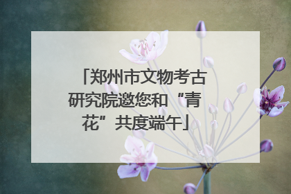 郑州市文物考古研究院邀您和“青花”共度端午